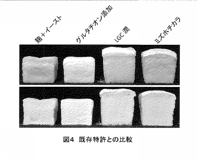 5713255-麹等カビによる前発酵工程を含む米粉パンの製法 図000007