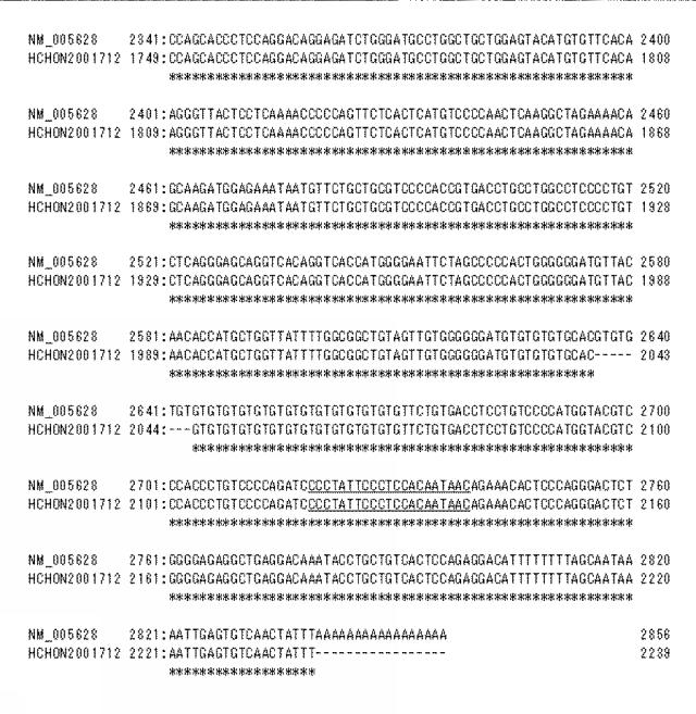 5730570-抗システムＡＳＣアミノ酸トランスポーター２（ＡＳＣＴ２）抗体 図000007