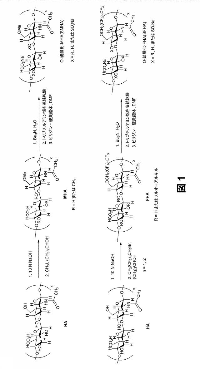 5758797-アルキル化半合成グリコサミノグリカンエーテルならびにその製造および使用方法 図000007