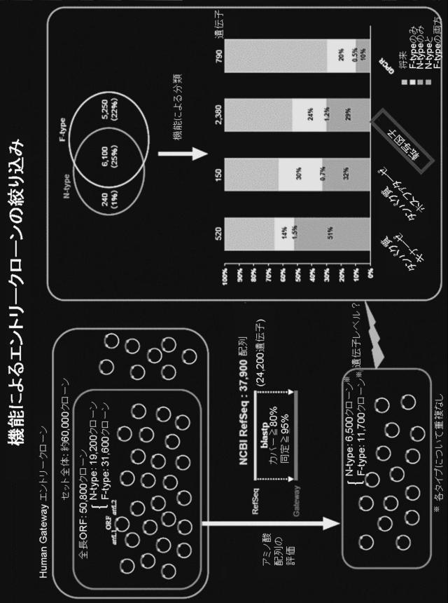5765746-効率的な人工多能性幹細胞の樹立方法 図000007