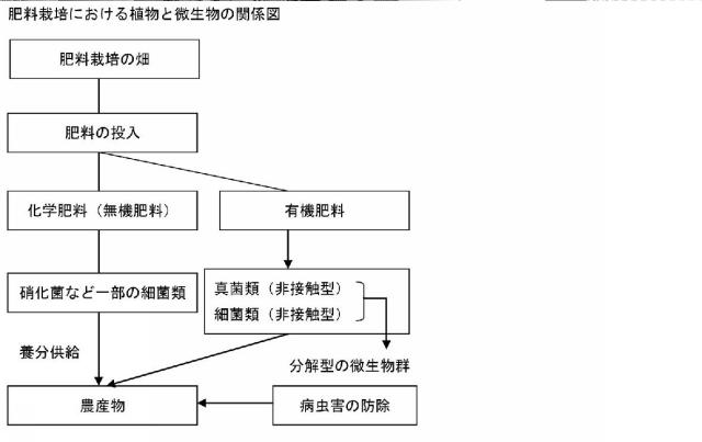 5770897-大気中の常在菌を活用し無肥料および無農薬で野菜を栽培する畑の造成方法 図000007