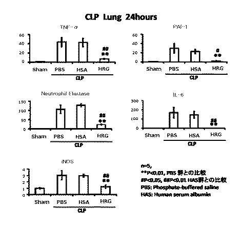 5807937-好中球活性化に起因する疾患の治療薬、治療方法及び検査方法 図000007