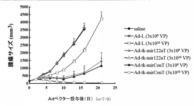 5812361-遺伝子発現制御機構を含む新規Ａｄベクター 図000007