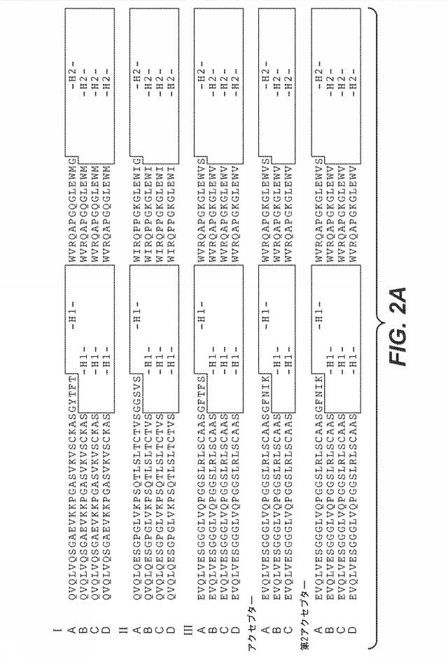 5814925-抗ヘプシン抗体及びその使用方法 図000007