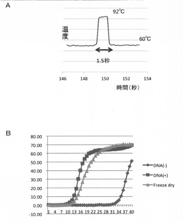 5912034-液体還流型高速遺伝子増幅装置 図000007