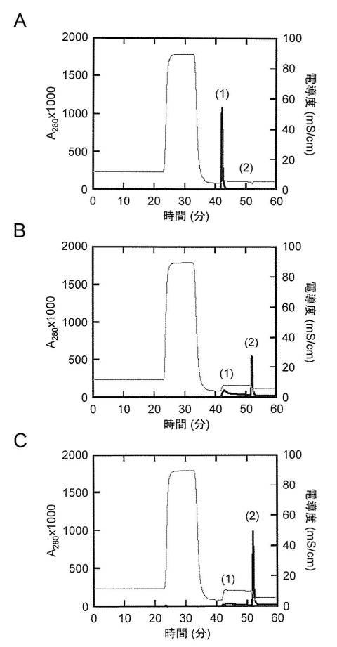 5963248-抗体精製用担体並びにその製造方法及びその用途 図000007