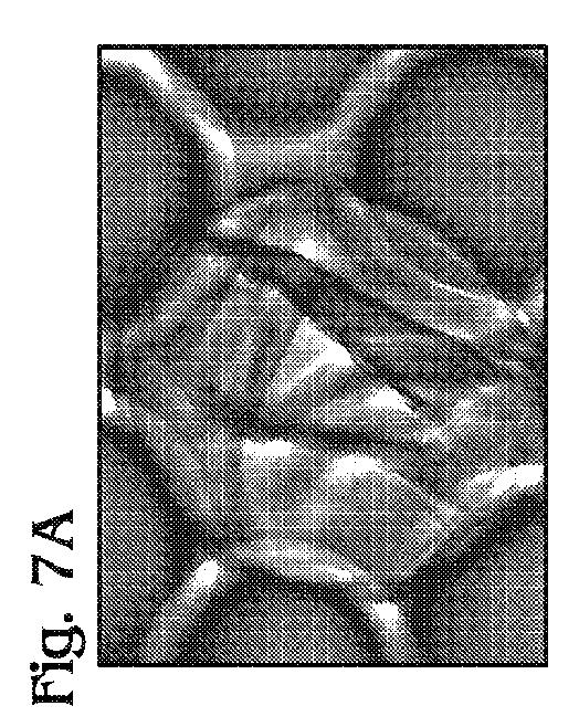 5963683-カプセル化された小滴に関するエマルジョンの化学およびアッセイ 図000007