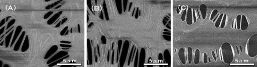 5979375-超高分子量ポリエチレン製多孔化膜の製造方法 図000007