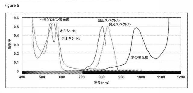 6023883-灌流評価マルチモダリティ光学医用デバイス 図000007