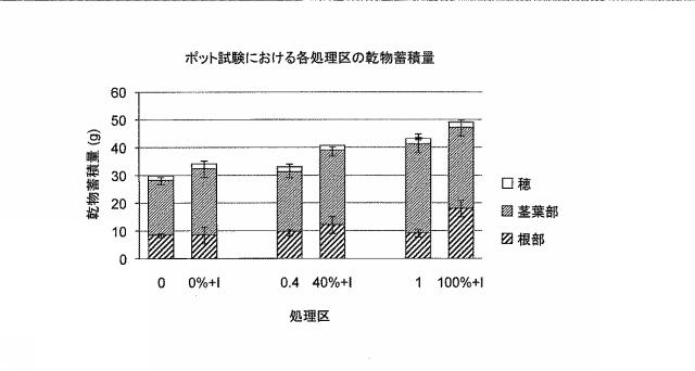 6024963-新規バチルス属窒素固定細菌、植物生育促進剤、及び植物の栽培方法 図000007