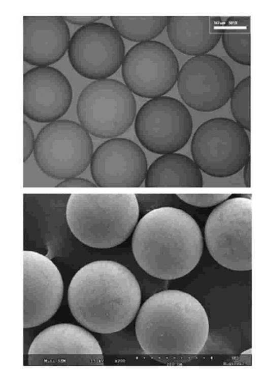 6145513-アルブミン及びデキストランサルフェートを含む抗癌剤吸着能力の向上された生分解性マイクロビーズ及びその製造方法 図000007