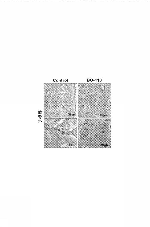 6222749-医薬組成物及びその使用 図000007