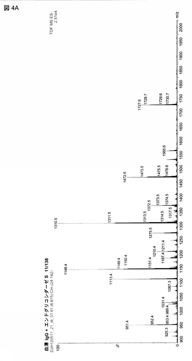 6249962-抗体およびエンドグリコシダーゼの組合せ治療上の使用 図000007