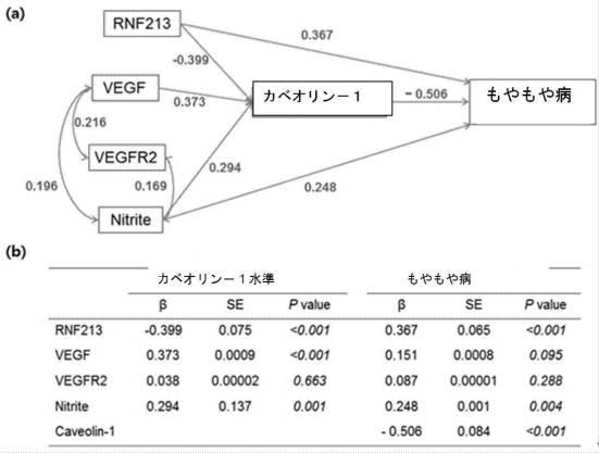 6281111-もやもや病診断用バイオマーカー 図000007