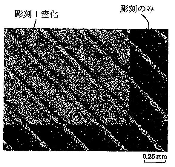 6348066-表面 図000007