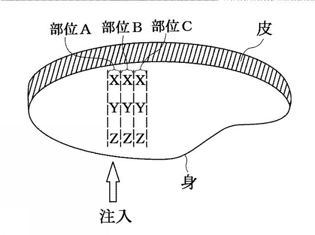 6360928-魚肉の製造方法及び魚肉の塩分濃度測定方法 図000007