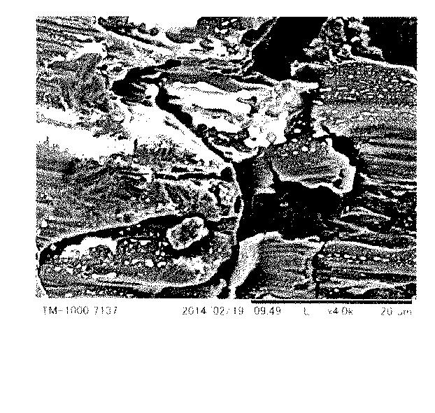 6420566-低鉛黄銅製接液部材の製造方法 図000007