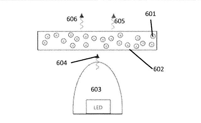 6430453-光合成生物の成長を促進するための量子ドットＬＥＤ 図000007