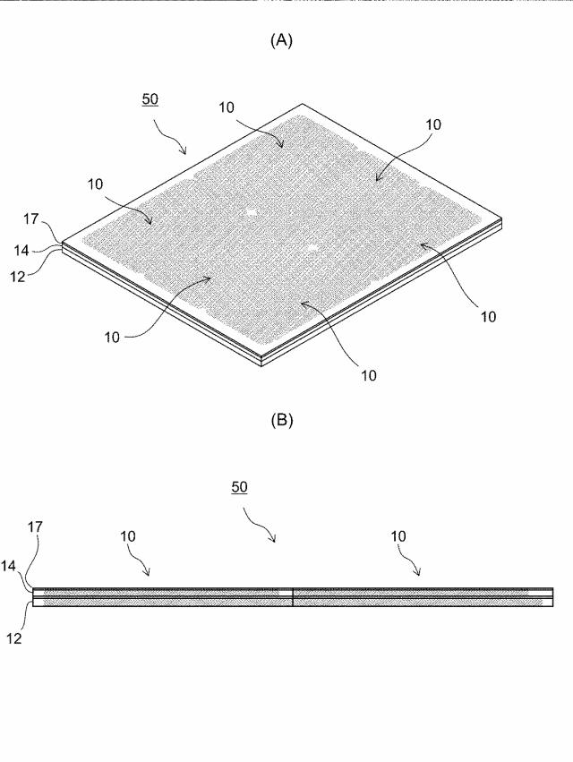 6501093-透明性薄膜付ガラスパネル製造方法および透明性薄膜付液晶パネル製造方法 図000007