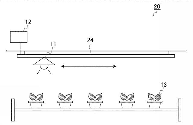 6541231-イチゴの休眠抑制方法 図000007