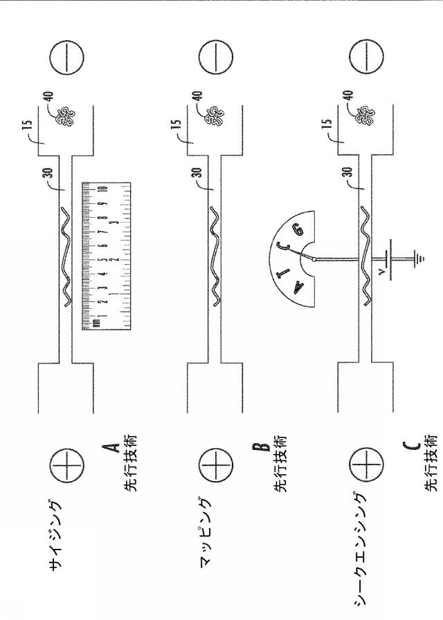 6633682-流体ナノファンネルを有する装置、関連する方法、製造及び解析システム 図000007