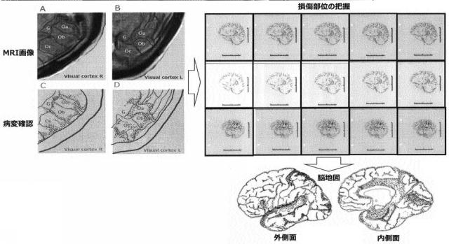 6708830-情報処理装置、情報処理方法およびプログラム 図000007