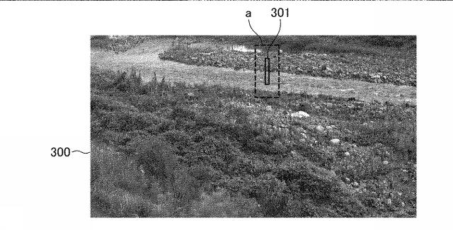 6729971-水位計測装置および水際線抽出方法 図000007