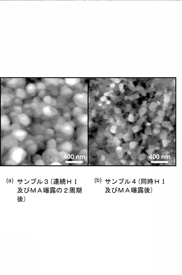 6732342-ペロブスカイト膜の形成方法、ペロブスカイト膜及び太陽電池 図000007