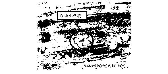 6782167-アルミニウム合金線材、アルミニウム合金撚線、被覆電線およびワイヤーハーネスならびにアルミニウム合金線材の製造方法 図000007