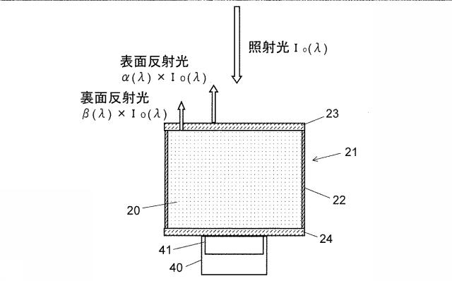 6853584-光学特性測定装置及び光学特性測定方法 図000007