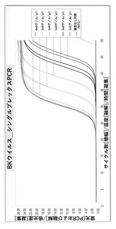 6858876-ＢＫウイルスの検出のための組成物および方法 図000007