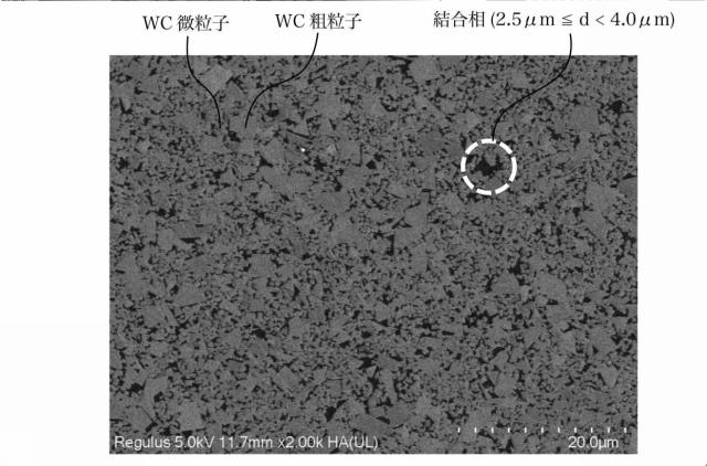 6900099-超硬合金及び金型 図000007