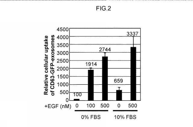 6948660-外来物質の細胞内への導入方法ならびに該方法に用いる材料 図000007