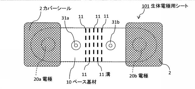 6976130-生体電極用シート 図000007