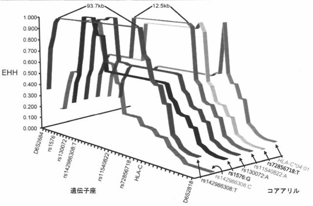 6979582-変異型蛋白質、及び該変異型蛋白質を発現し円形脱毛を発症する遺伝子改変マウス 図000007