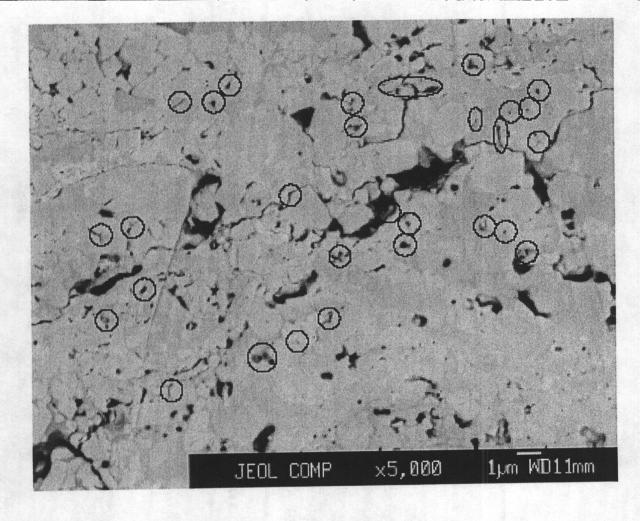 5669759-溶射材料および溶射皮膜の形成方法 図000008