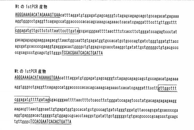 5687414-多型の識別方法 図000008