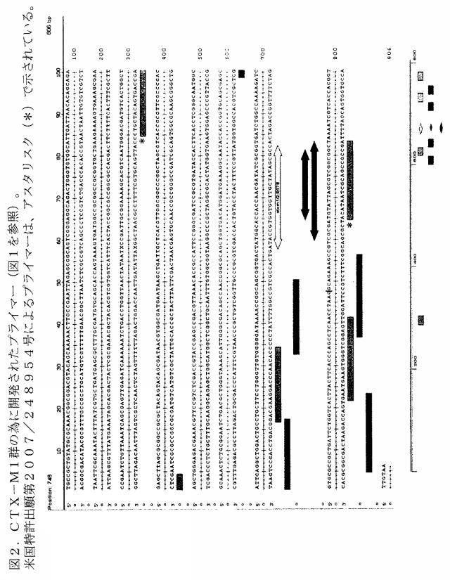 5766618-基質特異性拡張型β−ラクタマーゼの検出方法および同定方法 図000008