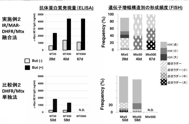 5811321-新規タンパク質発現方法 図000008