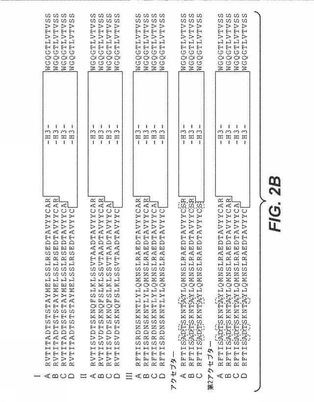 5814925-抗ヘプシン抗体及びその使用方法 図000008