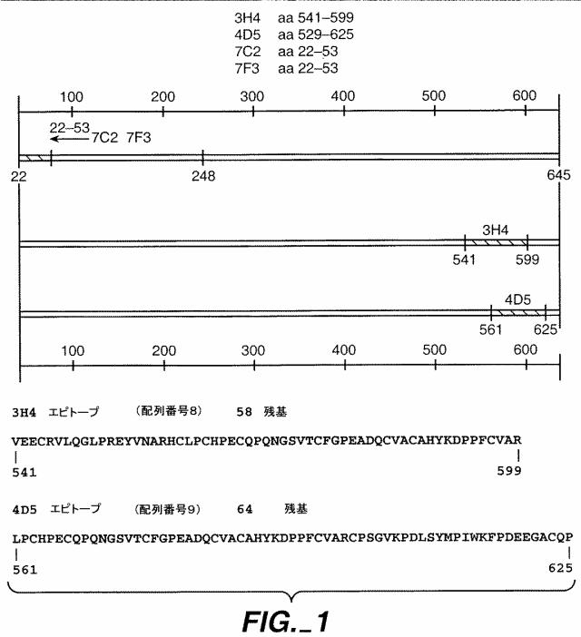 5818545-抗ＥｒｂＢ２抗体を用いた治療のためのドーセージ 図000008