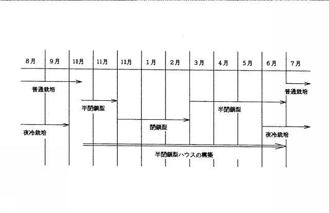 5830211-温室用栽培システム 図000008