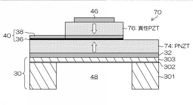 5836755-圧電体素子及び液体吐出ヘッド 図000008