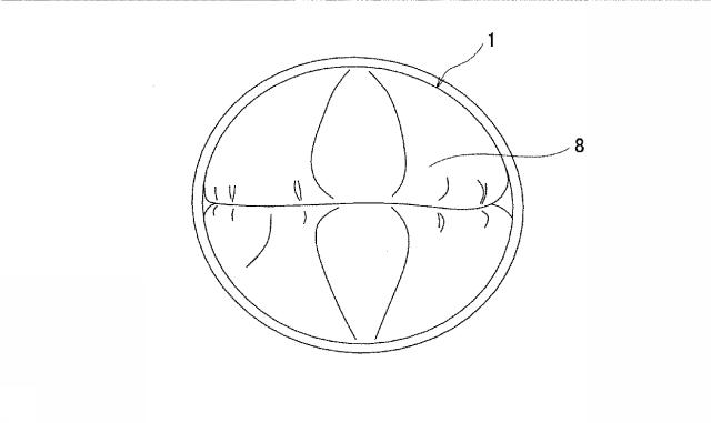 6030937-管路の内張り材、及び、管路の内張り方法 図000008