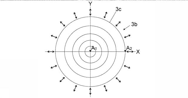 6050618-偏光解消素子及びその素子を用いた光学機器 図000008