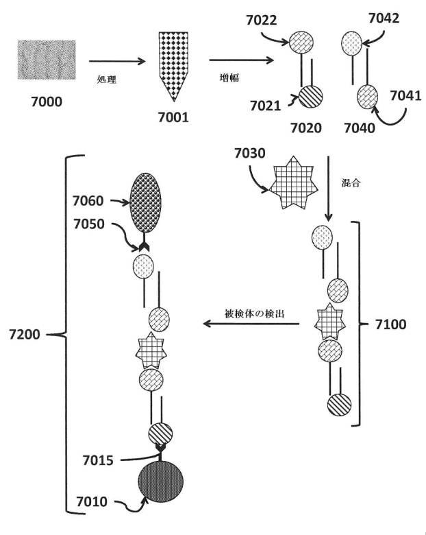 6190395-単一信号で複数被検体を検出する方法及び組成物 図000008