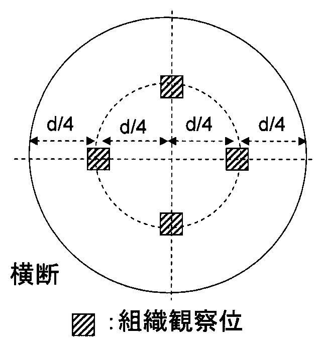 6249846-伸線加工性、および伸線加工後の曲げ加工性に優れた高強度ばね用鋼線材、およびその製造方法、並びに高強度ばね、およびその製造方法 図000008