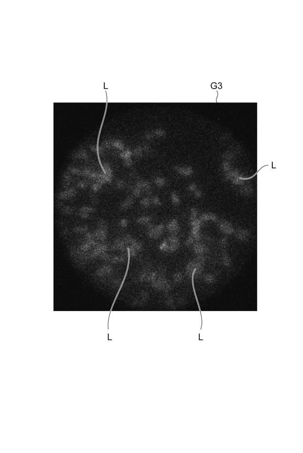 6255559-生体光画像取得システム、生体光取得プローブ及び生体光画像の取得方法 図000008