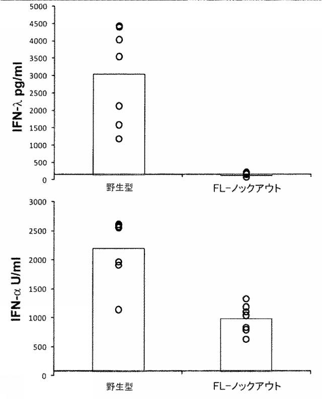 6263559-従来型樹状細胞によるＩＦＮ‐ラムダの産生及びその使用 図000008