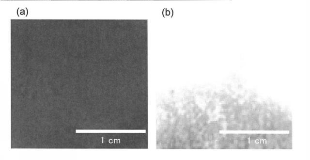 6320781-フェロシアン化物粒子−多糖類複合体 図000008